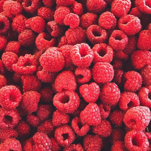 Bavarian raspberry