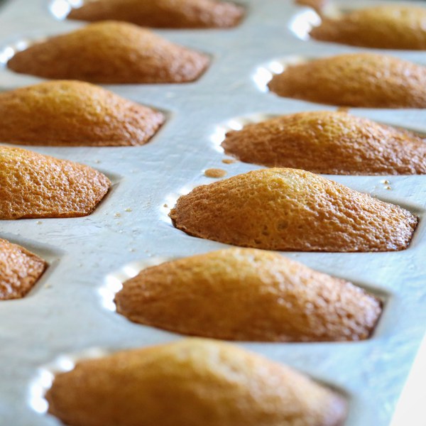 Madeleines